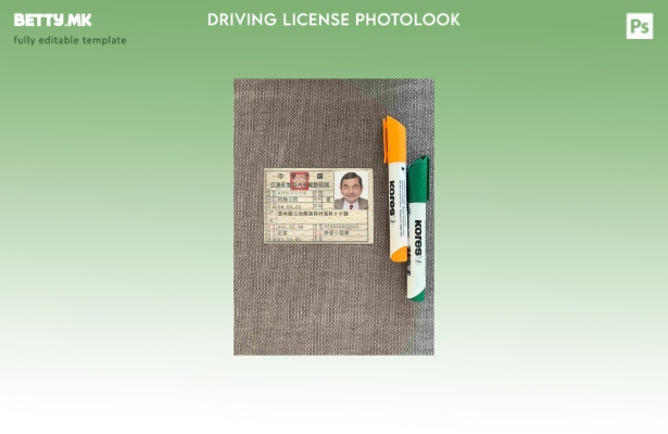 Модерен стил Taiwan DL photolook FRONT шаблон